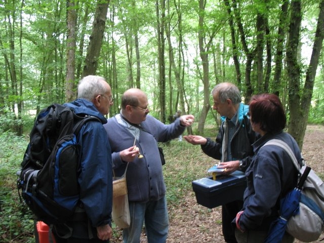 2007-06-Mycologie avec la SMF